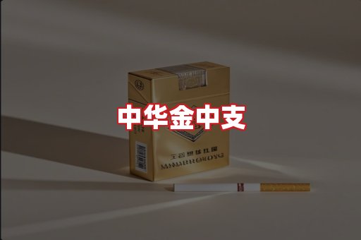 中华金中支