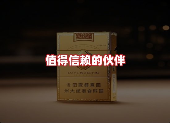 专业团队